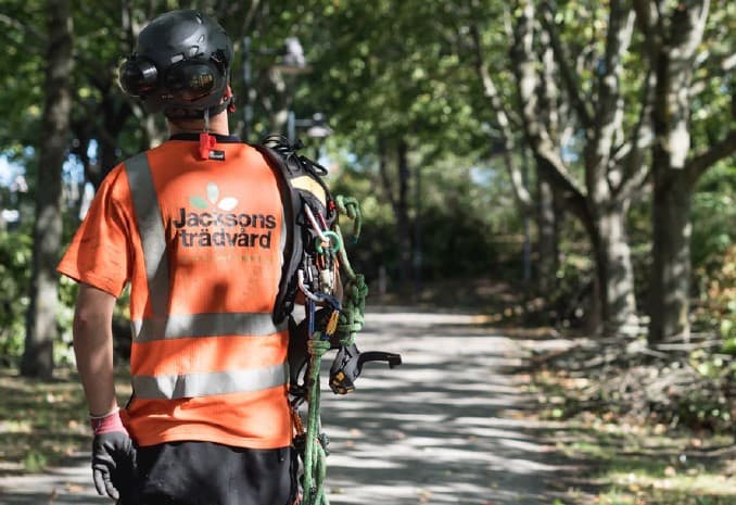 Servicios forestales de Green Landscaping